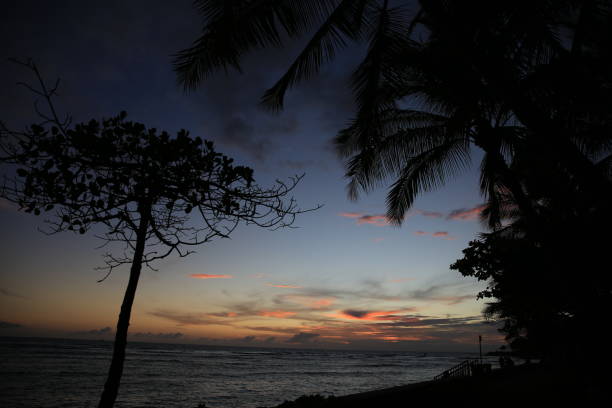 istock Ala Moana Beach Park Oahu Hawaii 1216685092