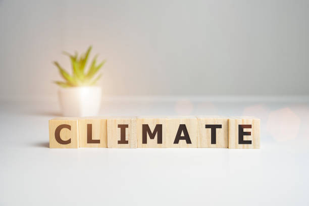 istock climate word concept - words in wooden blocks 1216685356