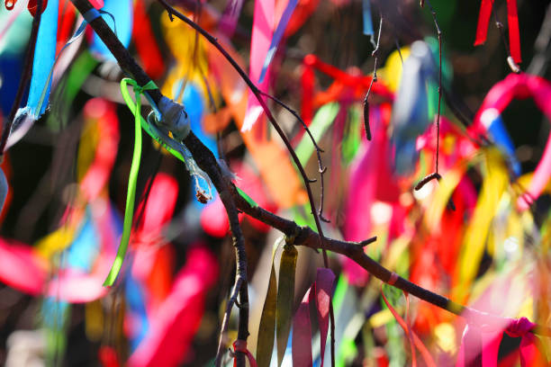 istock Multi-colored ribbons tied on tree branches, festival 1216685426