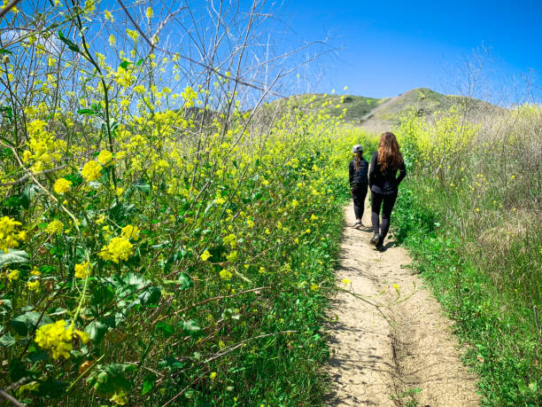 캘리포니아 남부의 꽃과 함께 트레일을 따라 하이킹하는 어머니와 딸 - mobilestock outdoors horizontal rear view 뉴스 사진 이미지
