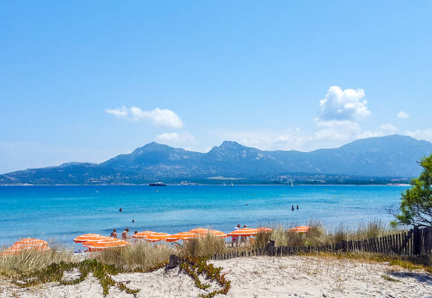 In June 2015, tourists were enjoying the beach of Calvi