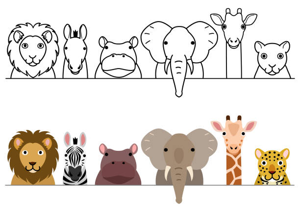 かわいい漫画サファリ動物のボーダーセット - animal cartoon zoo safari点のイラスト素材／クリップアート素材／マンガ素材／アイコン素材