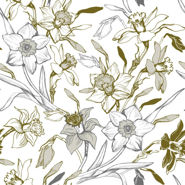 ilustrações, clipart, desenhos animados e ícones de padrão gráfico manual sem emendas com daffodils de flores desenhadas à mão. - nature black and white leaf black background