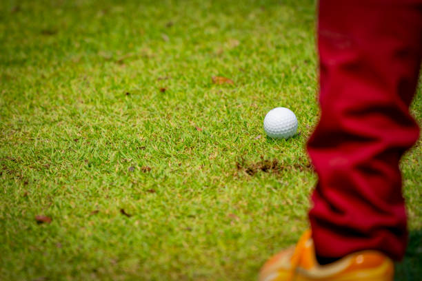 istock Golfer swing golf ball on fairway golf course 1216692087