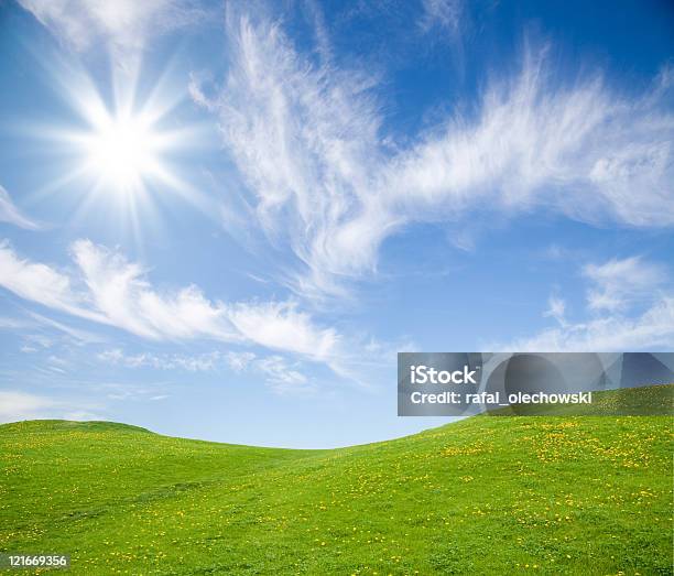 Green Grass Field Contra El Cielo Azul Foto de stock y más banco de imágenes de Aire libre - Aire libre, Amarillo - Color, Azul