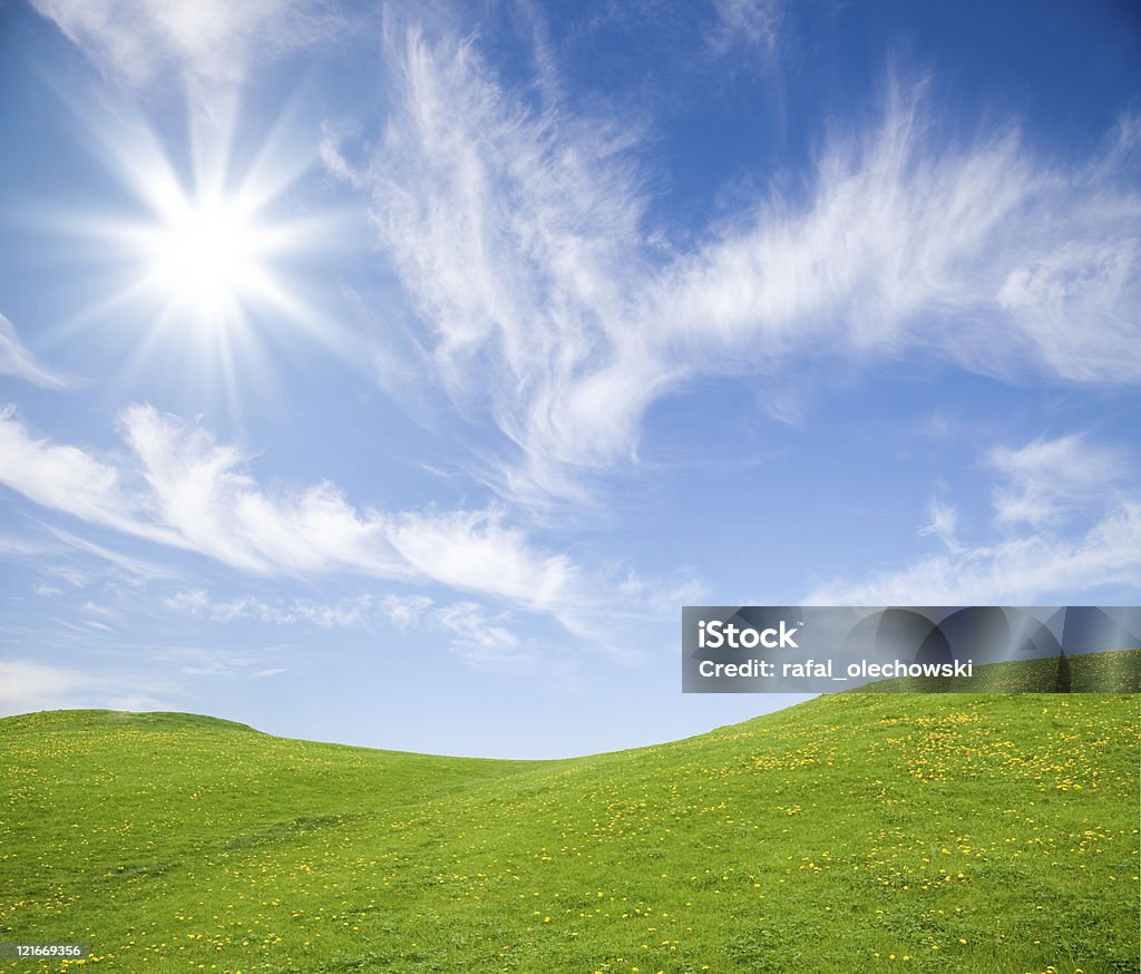 Champ d'herbe verte contre le ciel bleu - Photo de Beauté de la nature libre de droits