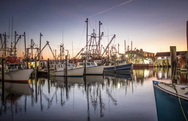 Photo of Dawn over the fishing fleet at Viking Village, Barnegat Light, NJ