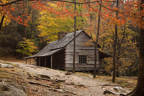 smokies en la cabina viejo - great smoky mountains great smoky mountains national park leaf autumn fotografías e imágenes de stock