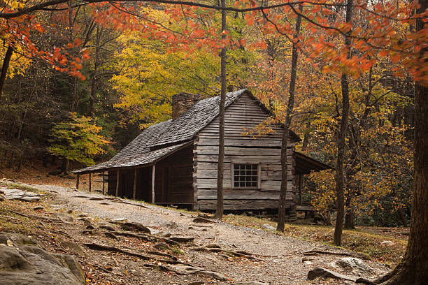 This historic cabin in Great Smokey Mountains Nation Park had a spotlight shining upon it. The clearing the cabin is in allowed the sunlight to shine upon it.