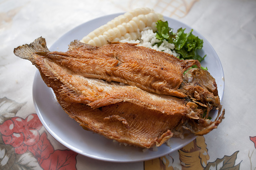 Closeup of a fried trout with sweet corn, white rice and green salad, served on a white plate