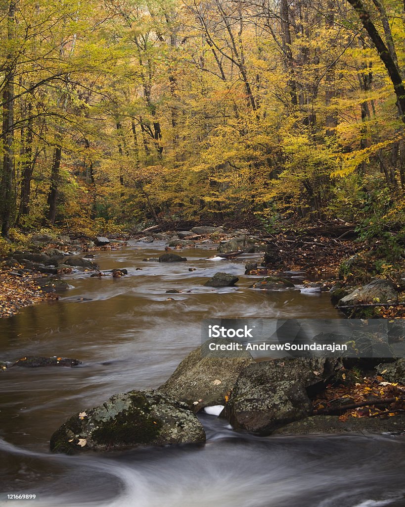 Color de otoño en las montañas humeantes - Foto de stock de Aire libre libre de derechos