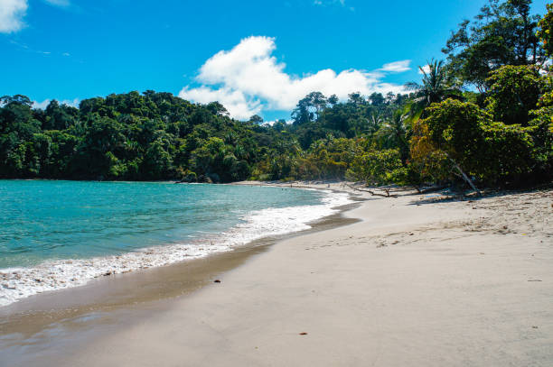 istock Paradise beach of Manuel Antonio 1216699140