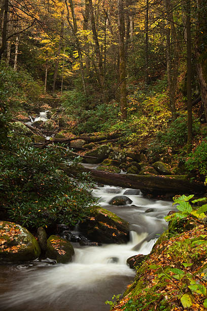 istock Rapids in a Smoky Mountain Stream 121670114