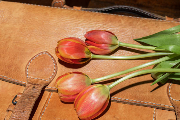 istock Orange & Yellow Tulip on Leather 1216701536