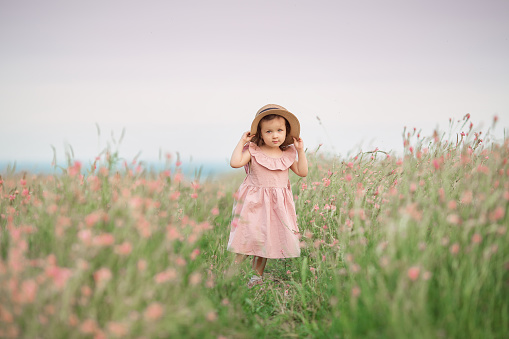 Cute Charming Little Girl In The Summer Field With Colorful Flowers