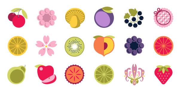 Simple elegant fruit, berry, flower, mushroom, jam, pie and other summer food and flavor illustration icons. Colourful vector design collection, stylized natural organic treats, rounded cute cartoon drawings. Perfect for menu, poster and greeting card art. apple pie a la mode stock illustrations