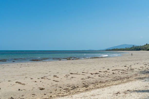 istock Myall Beach at Cape Tribulation, Daintree Rainforest National Park, Australia 1216708996