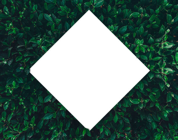 istock Creative layout made of green leaves with paper card note for entering your message. Flat lay. tropical leaves, abstract green leaves texture, Natural background and wallpaper. Nature concept. 1216711710