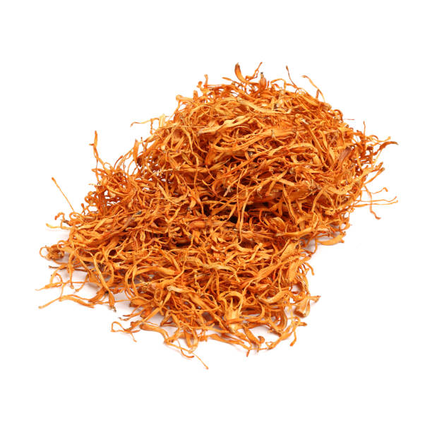 istock dried cordyceps militaris mushroom 1216713261