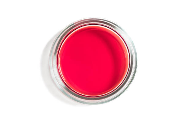 istock glass petri dish with red liquid isolated on a white background 1216713384