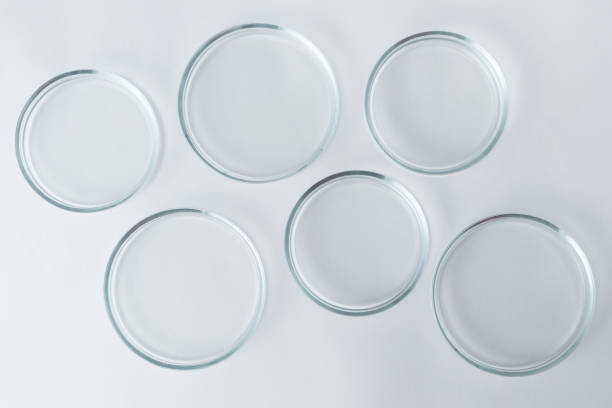 platos de petri vacíos en una mesa blanca - petri dish bacterium cell virus fotografías e imágenes de stock