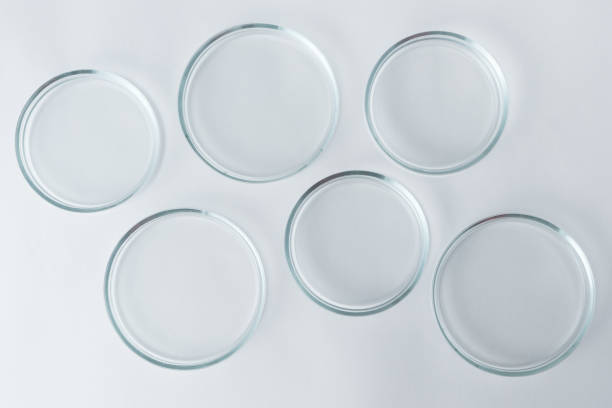 empty petri dishes on a white table - bacterium petri dish laboratory science imagens e fotografias de stock