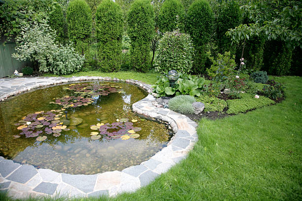 estanque con agua-lilys en un jardín en casa - forest pond landscaped water fotografías e imágenes de stock