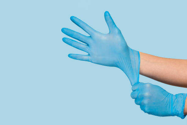 el doctor se pone guantes estériles sobre un fondo azul. concepto de control de infecciones. peligro - guante quirúrgico fotografías e imágenes de stock