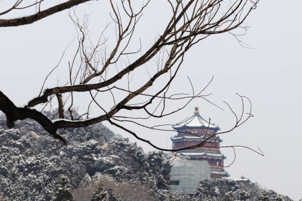 istock Summer Palace after snow 1216720995