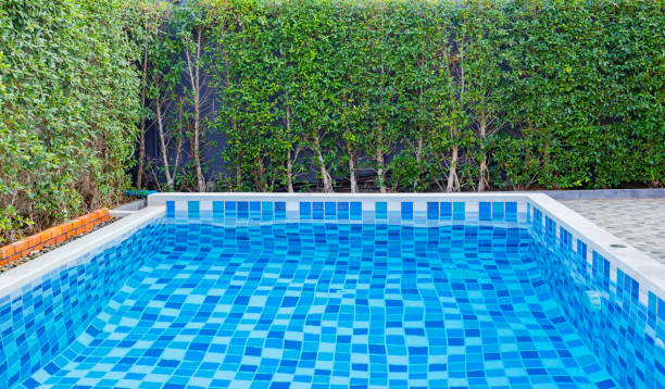 istock Small swimming pool in a private house 1216721363