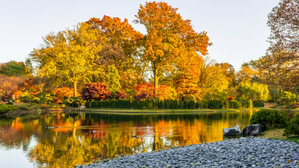 istock Beautiful park with a lake in fall in the Midwest 1216723226