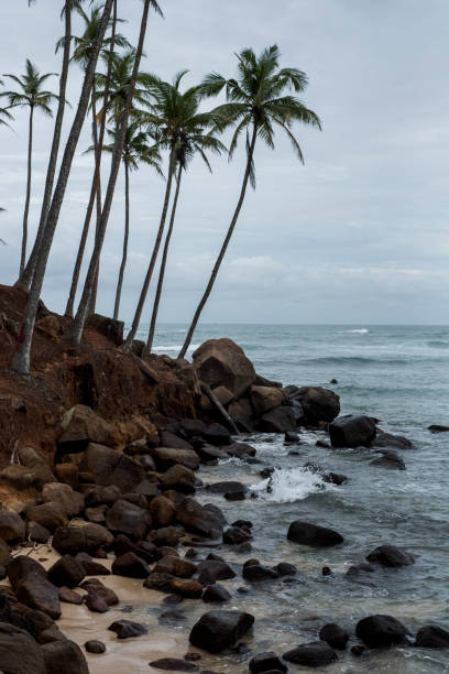 Coconut Hill in  Mirissa, Sri Lanka.