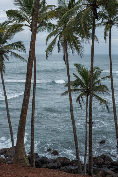 istock Coconut Hill in  Mirissa, Sri Lanka 1216724083