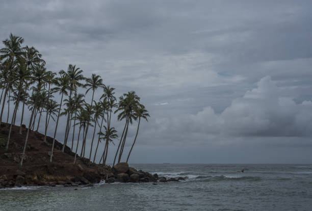 istock Coconut Hill in  Mirissa, Sri Lanka 1216724092