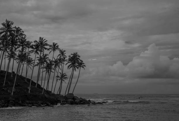 istock Coconut Hill in  Mirissa, Sri Lanka 1216724100