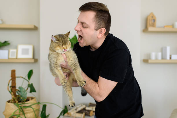 istock Middle-aged man jokingly tries to eat a cat 1216724253