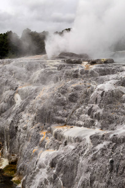 istock View of thermal activity at the Te Puia Thermal Park 1216724480