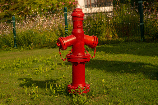 one red iron retro fire cock on green lawn