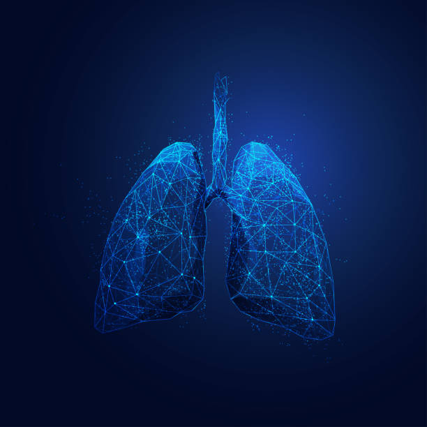 polygonLungs graphic of wireframe polygon lungs with futuristic element low poly modelling illustrations stock illustrations