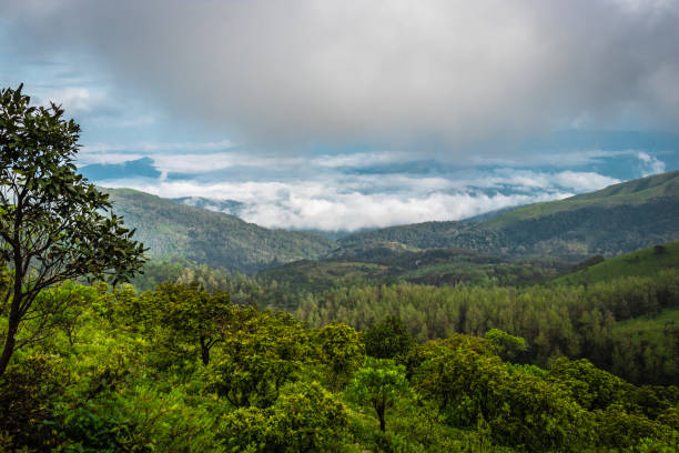 istock mountain coverd with cloud layers and beautiful sky 1216725430