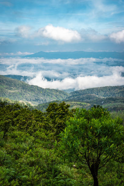 mountain coverd with cloud layers and beautiful sky mountain coverd with cloud layers and beautiful sky image is showing the amazing beauty and art of nature. This image is taken at karnataka india from hilltop. karnataka stock pictures, royalty-free photos & images