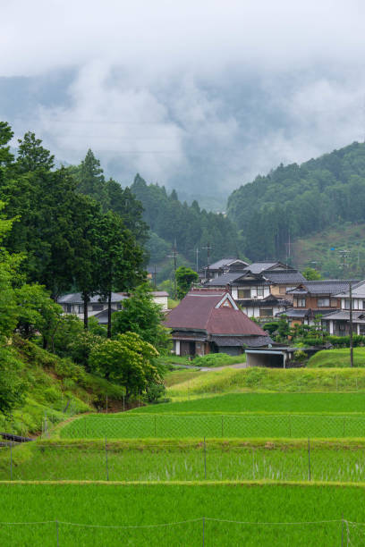 istock Haze, paddy fields and rural areas generated in mountains 1216726565