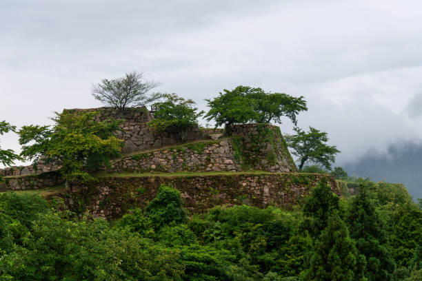 istock Stone wall of castle ruins covered with trees 1216726789