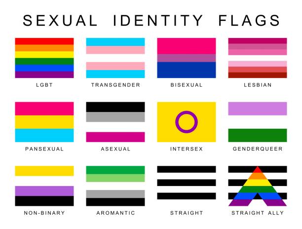 sexuelle identität stolz flaggen gesetzt, lgbt-symbole. flagge geschlecht sexe homosexuell, transgender, bisexuell, lesbisch und andere. vektor-illustration - sex sexual activity sexual issues couple stock-grafiken, -clipart, -cartoons und -symbole