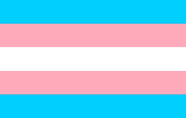 stockillustraties, clipart, cartoons en iconen met transgender trots gemeenschap vlag, lgbt symbool. seksuele minderheden identiteit. vector - transgender