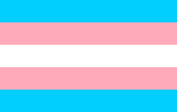 istock Transgender pride community flag, LGBT symbol. Sexual minorities identity. Vector 1216731253