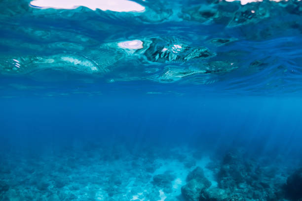 istock Tropical transparent ocean underwater in tropics 1216732355