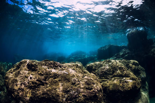 istock Underwater scene with stones in ocean 1216732364
