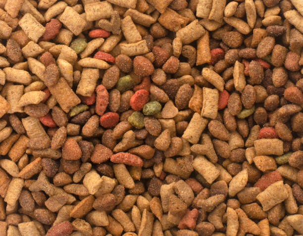 istock dry pet food 1216735361