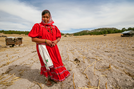 Sierra Tarahumara, Chihuahua, Mexico, January 17 -- A woman of the Raramuri (Tarahumara) ethnic group in a completely arid and dead corn field in the community of Bocoyna, in the Sierra Tarahumara of the Mexican state of Chihuahua, an area very affected by drought, famine and the consequences of climate change.